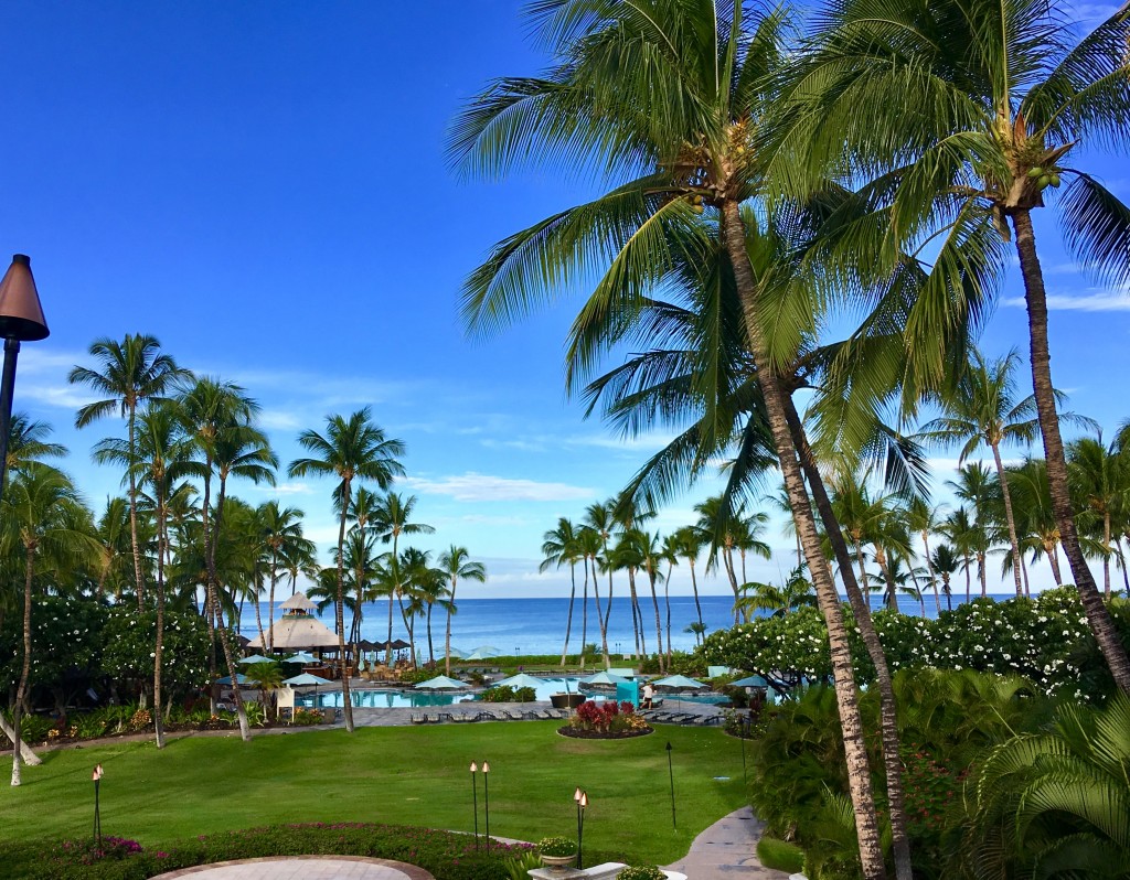 Island of Hawai‘i trip with VoX International 2018